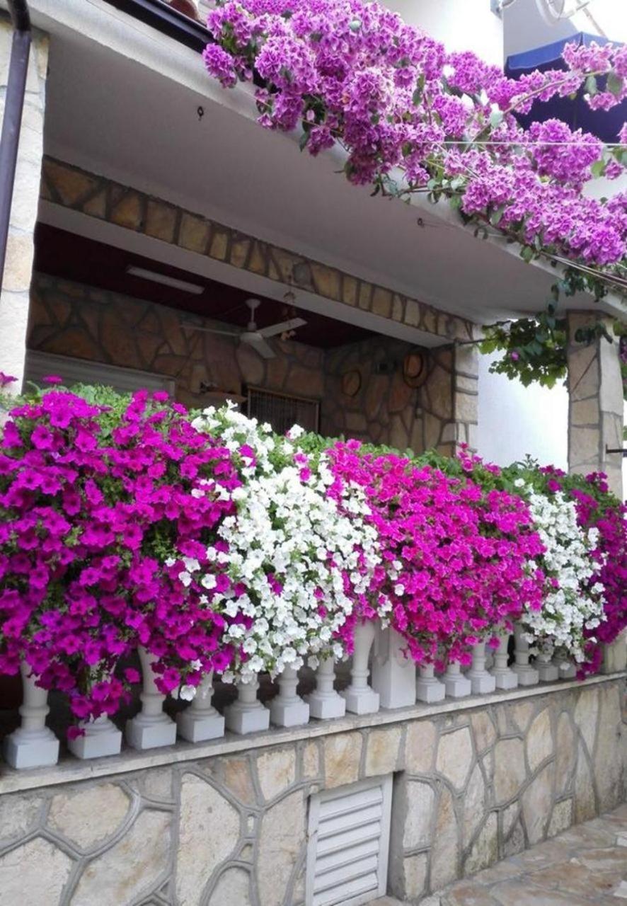 Apartments Dobri - 500M From Beach نين المظهر الخارجي الصورة